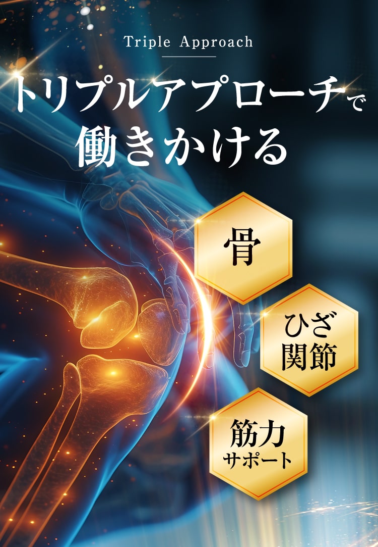 トリプルアプローチ　ひざへ働きかける