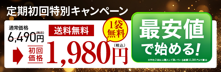 定期初回特別キャンペーン