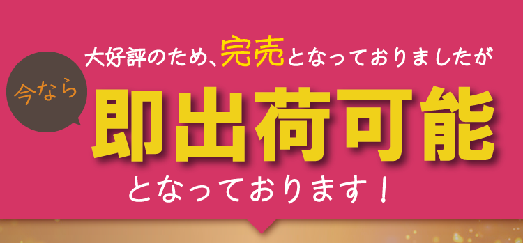 発売直後に即完売